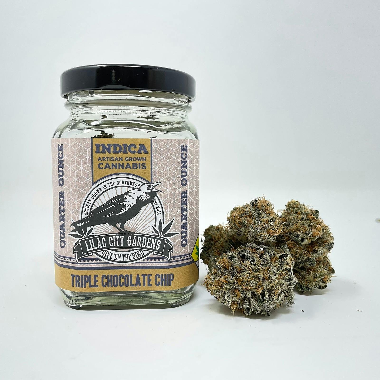 Lilac City Gardens - Triple Chocolate Chip - Flower -